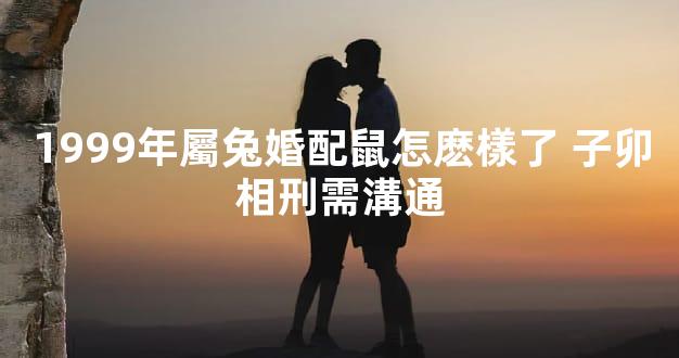 1999年屬兔婚配鼠怎麽樣了 子卯相刑需溝通